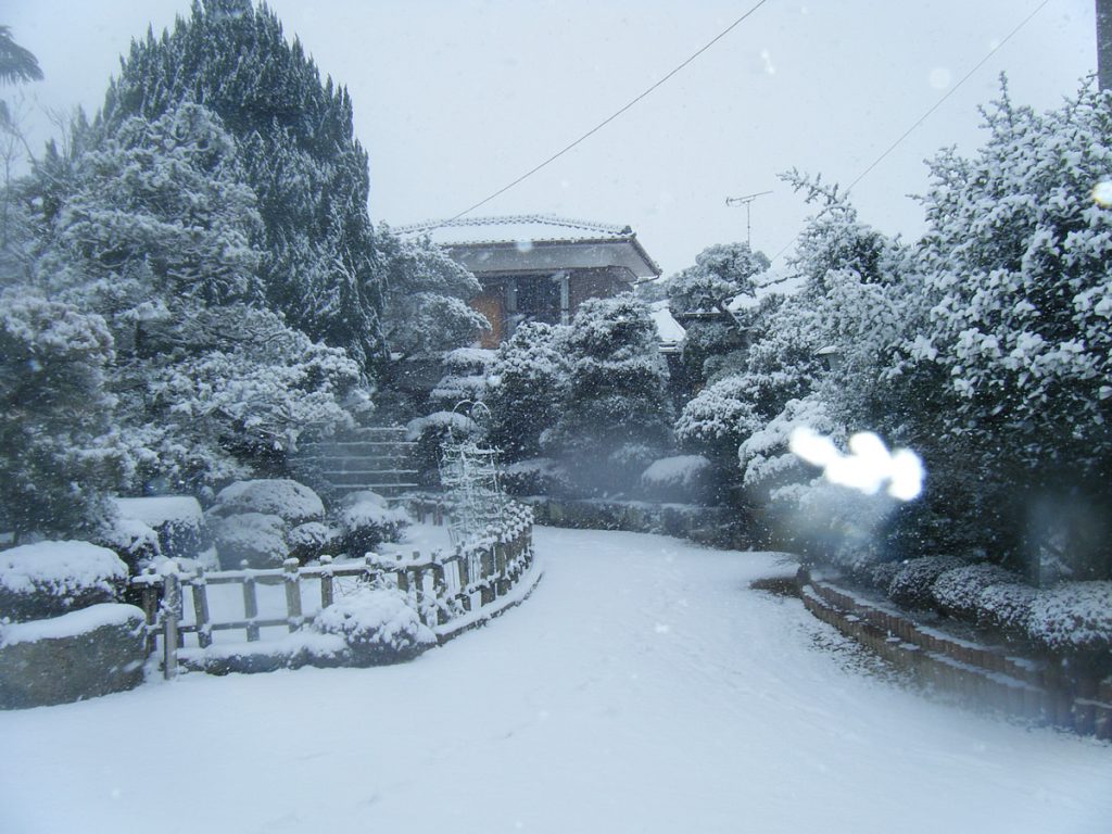 冬の円城寺