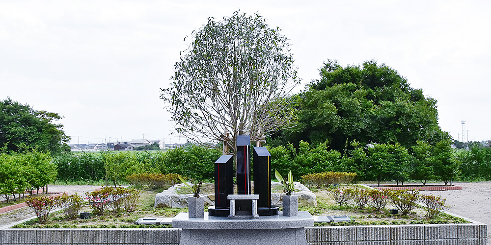 桜の花